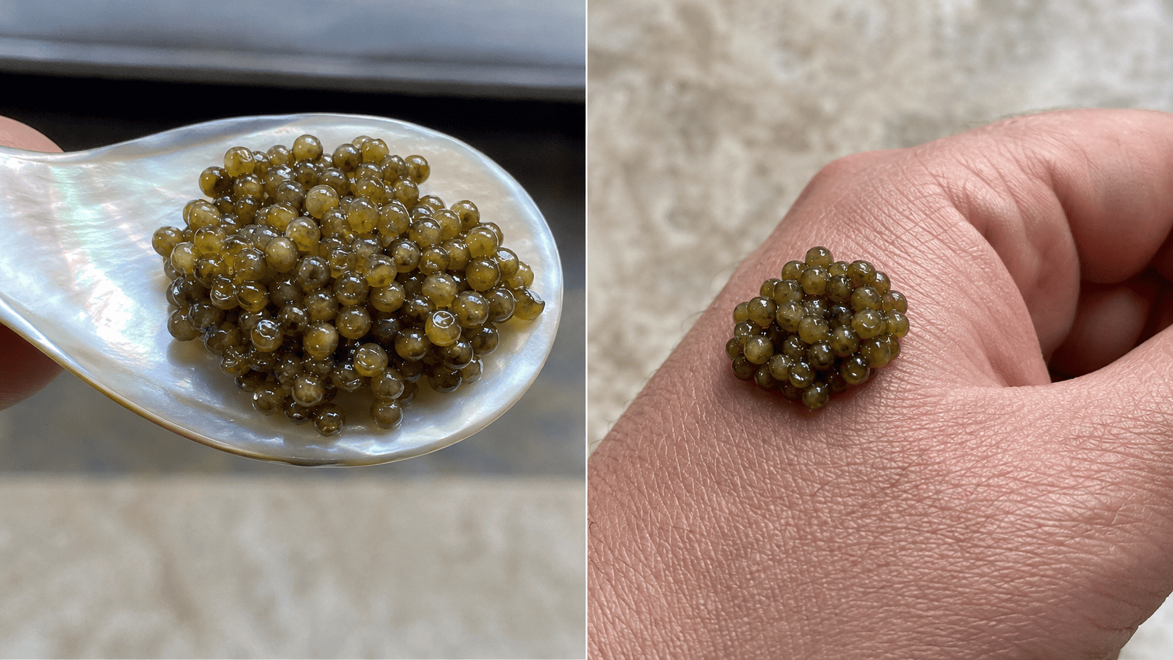 Dyptique caviar